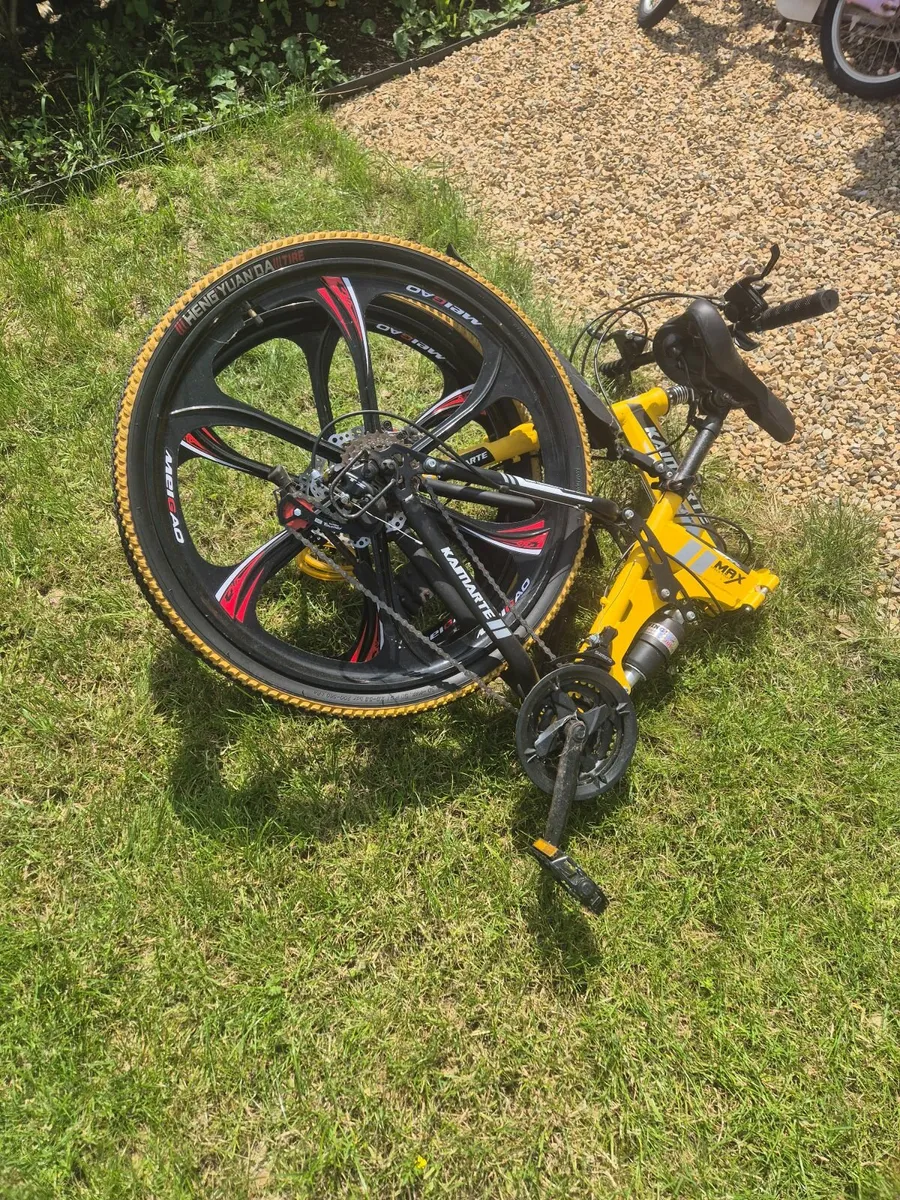 Bike - Image 2
