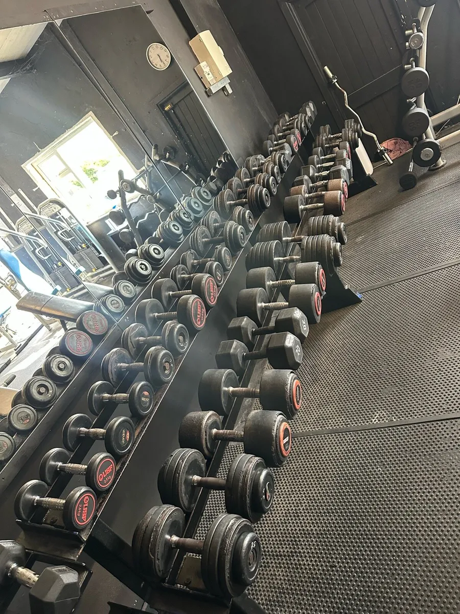 Dumbbells 2.5kg - 50kg + 2 racks - Image 1