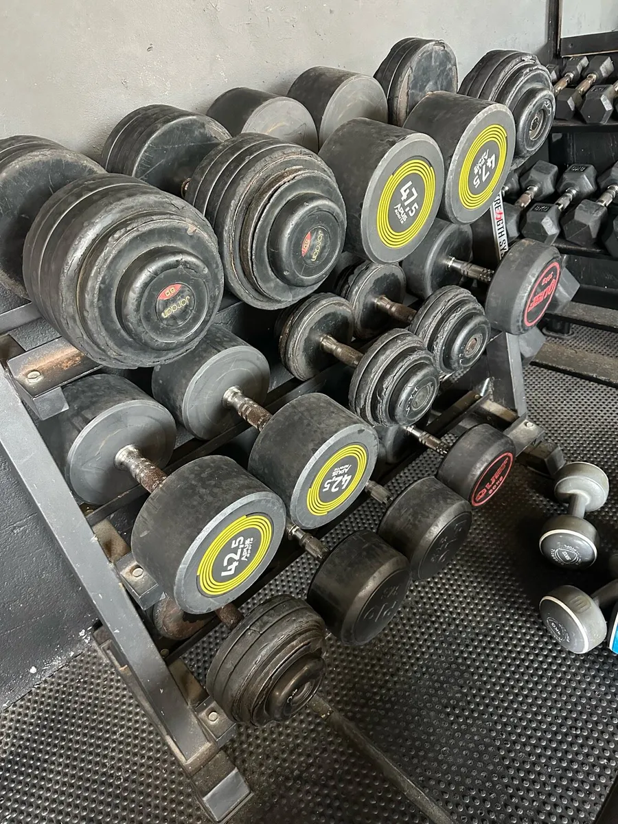 Dumbbells 2.5kg - 50kg + 2 racks - Image 2