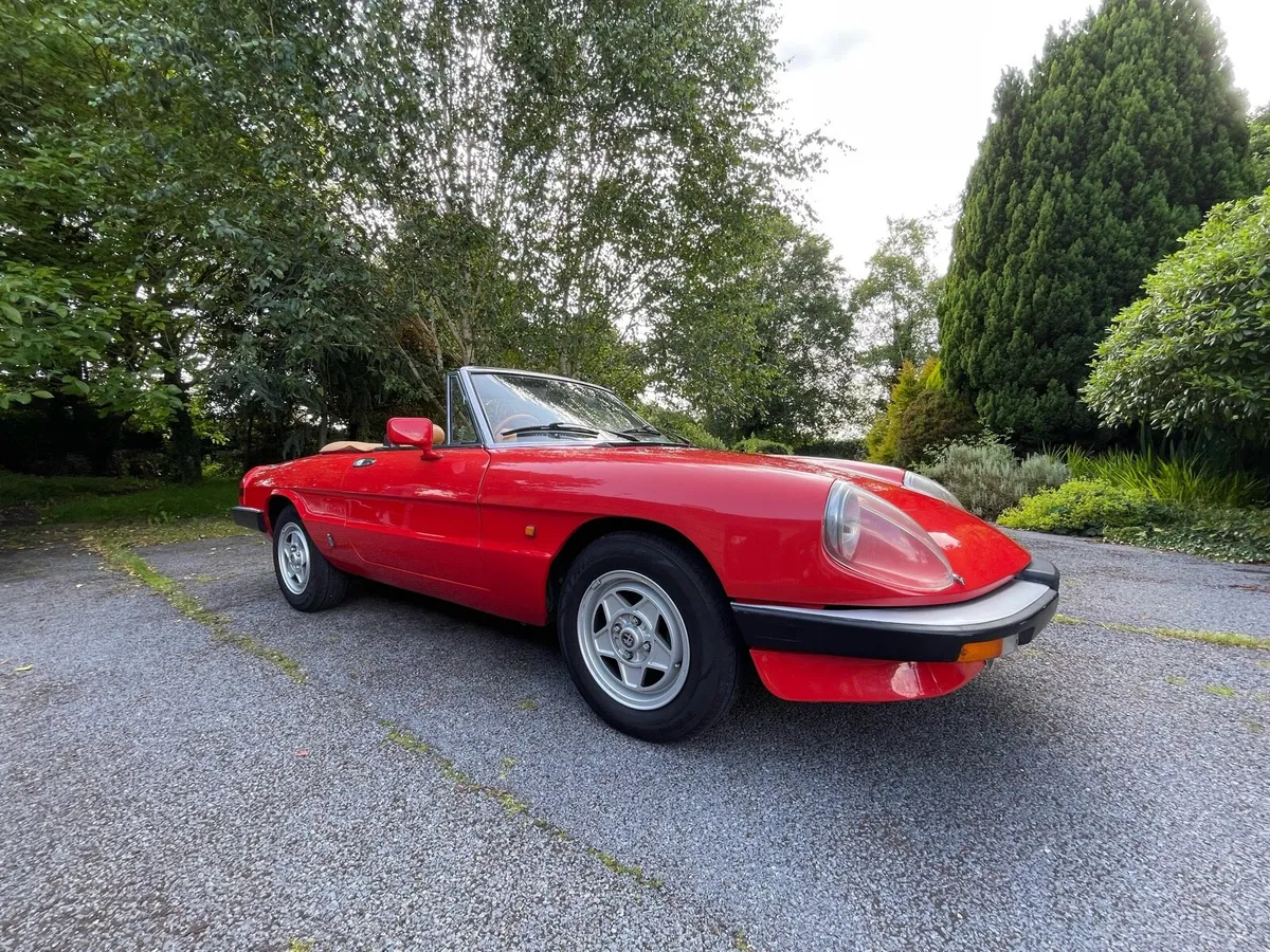 Alfa Romeo Spider - Image 3