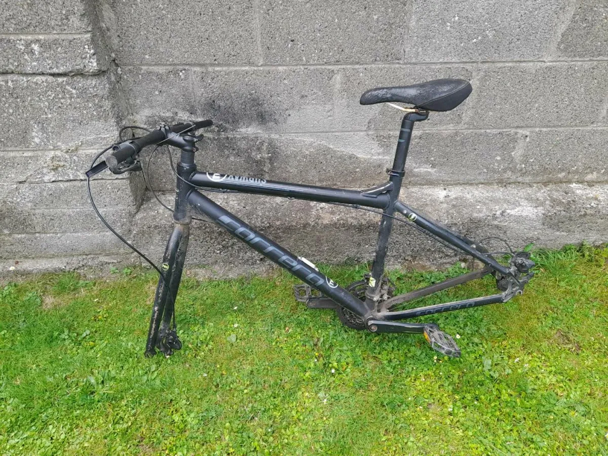 Bike - Image 2