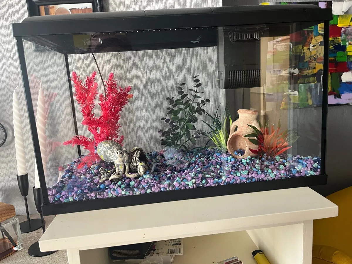 Small Fish tank