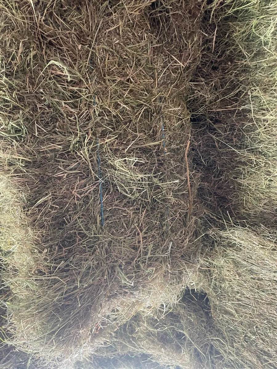 Small Square Hay Bales - Image 3