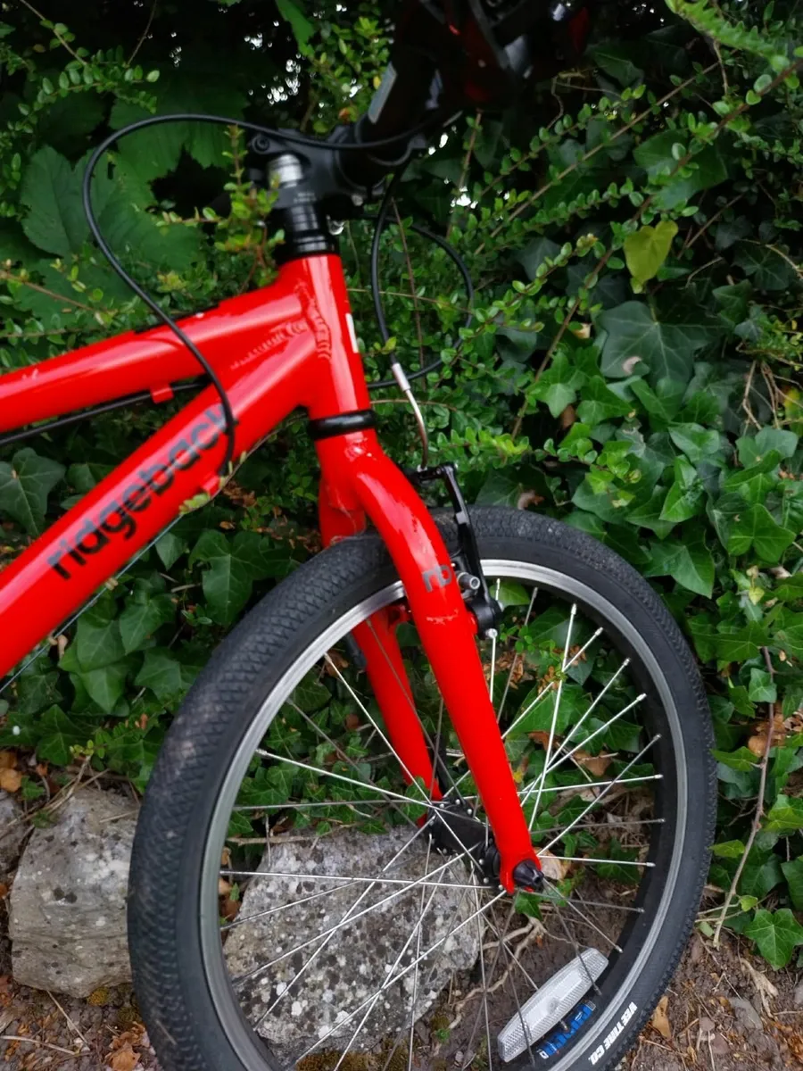 Kids Bike - Ridgeback Dimension 20 - Image 3