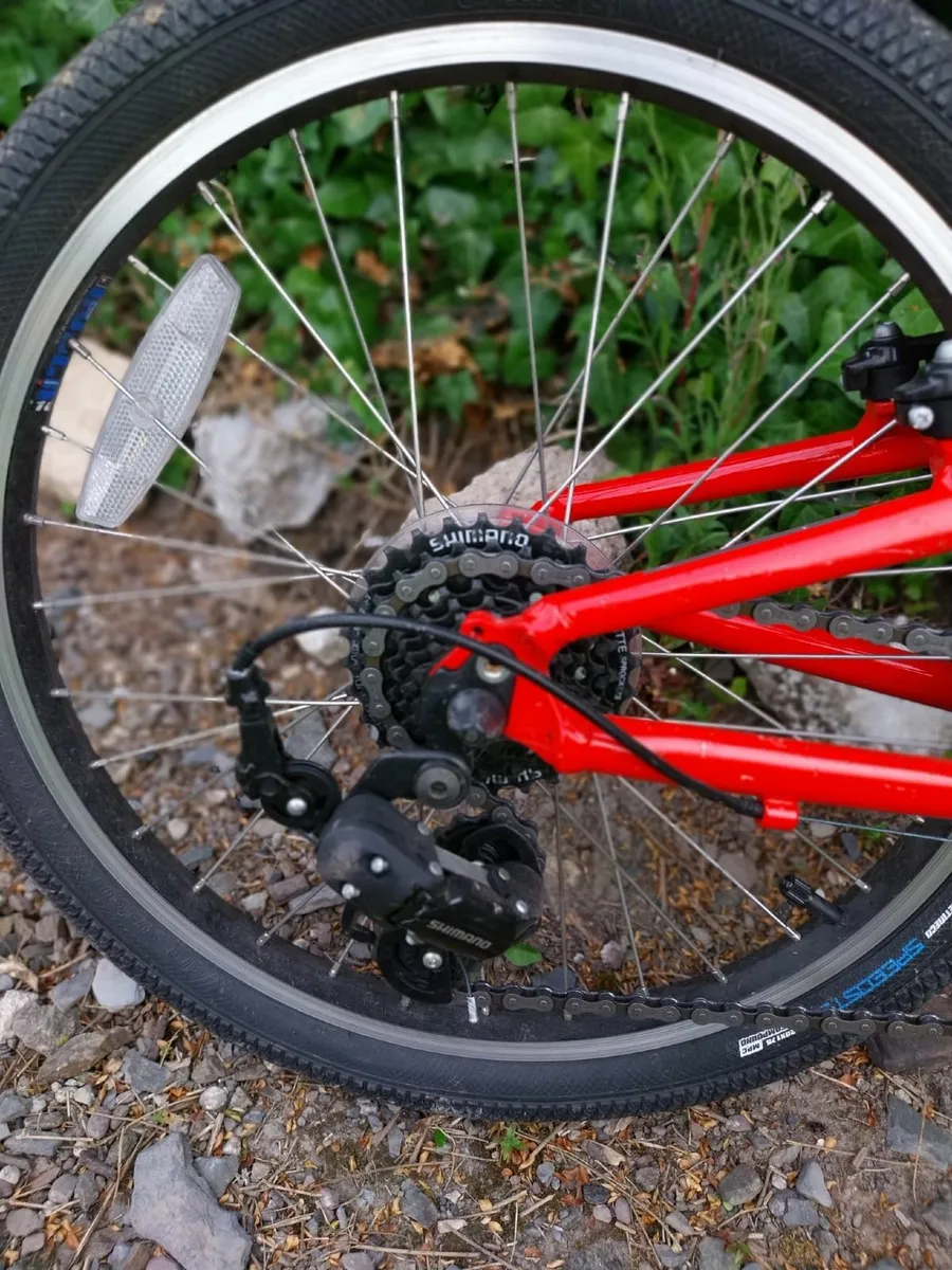 Kids Bike - Ridgeback Dimension 20 - Image 4