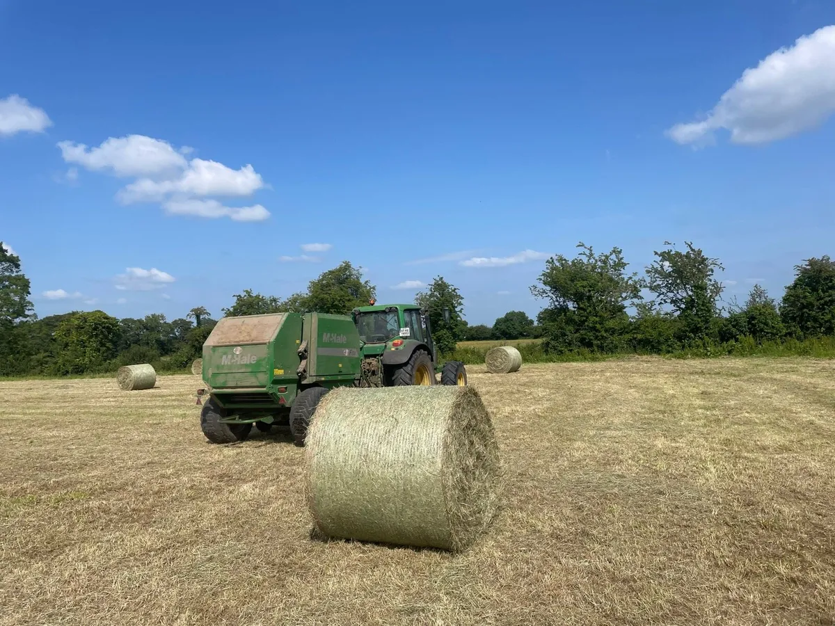 Hay - Image 1