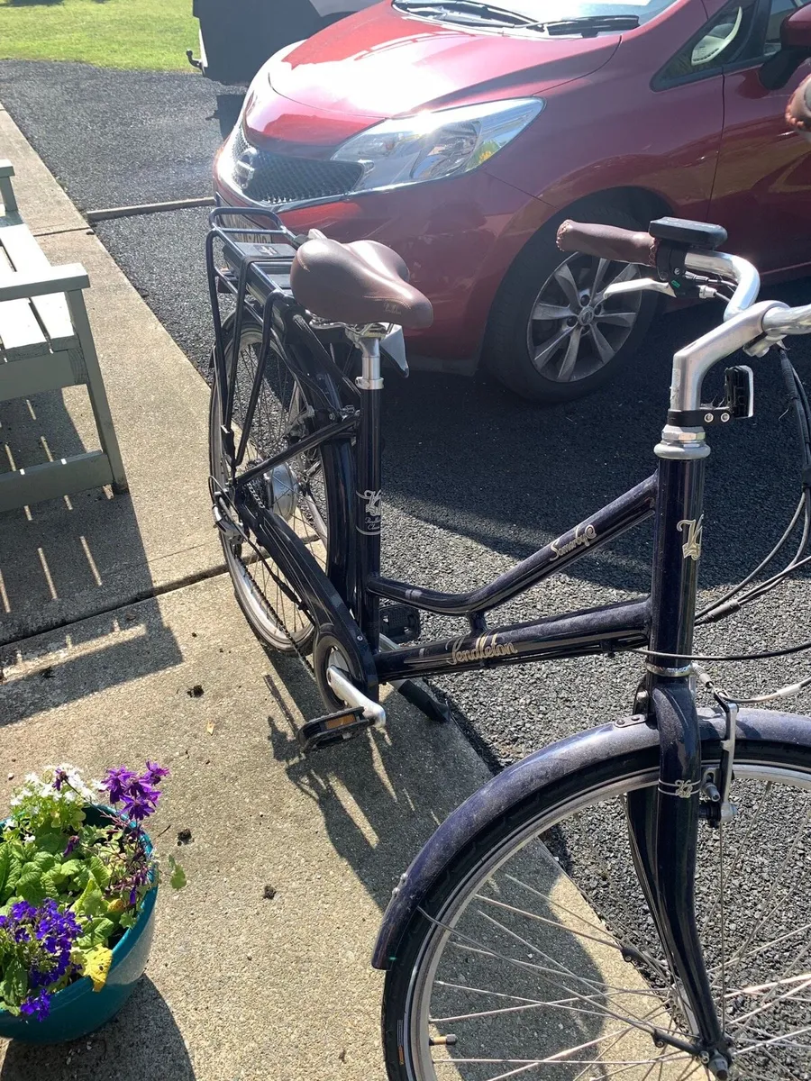Electric bike - Image 1