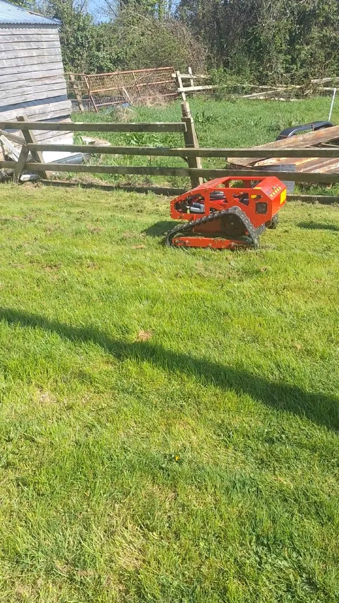 Mower - Image 1
