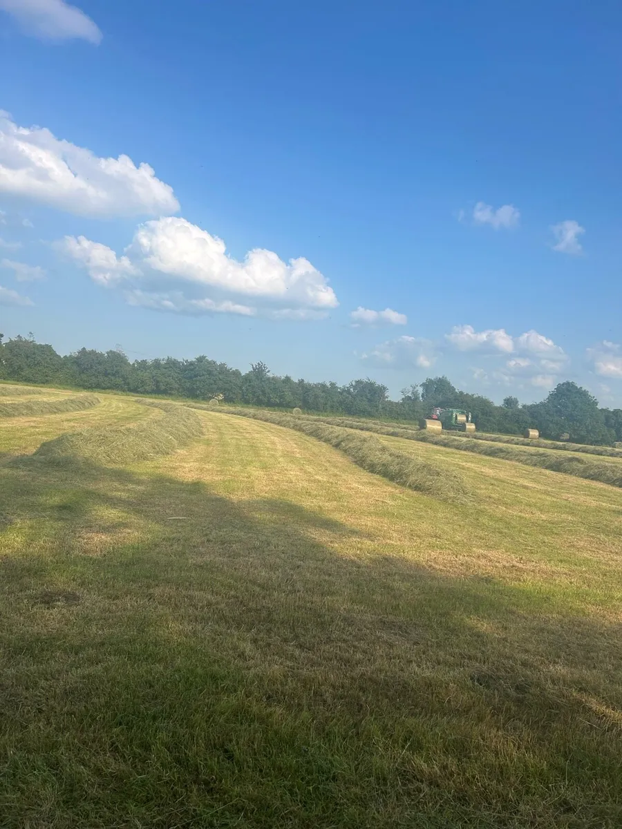 Organic round bales for sale and silage