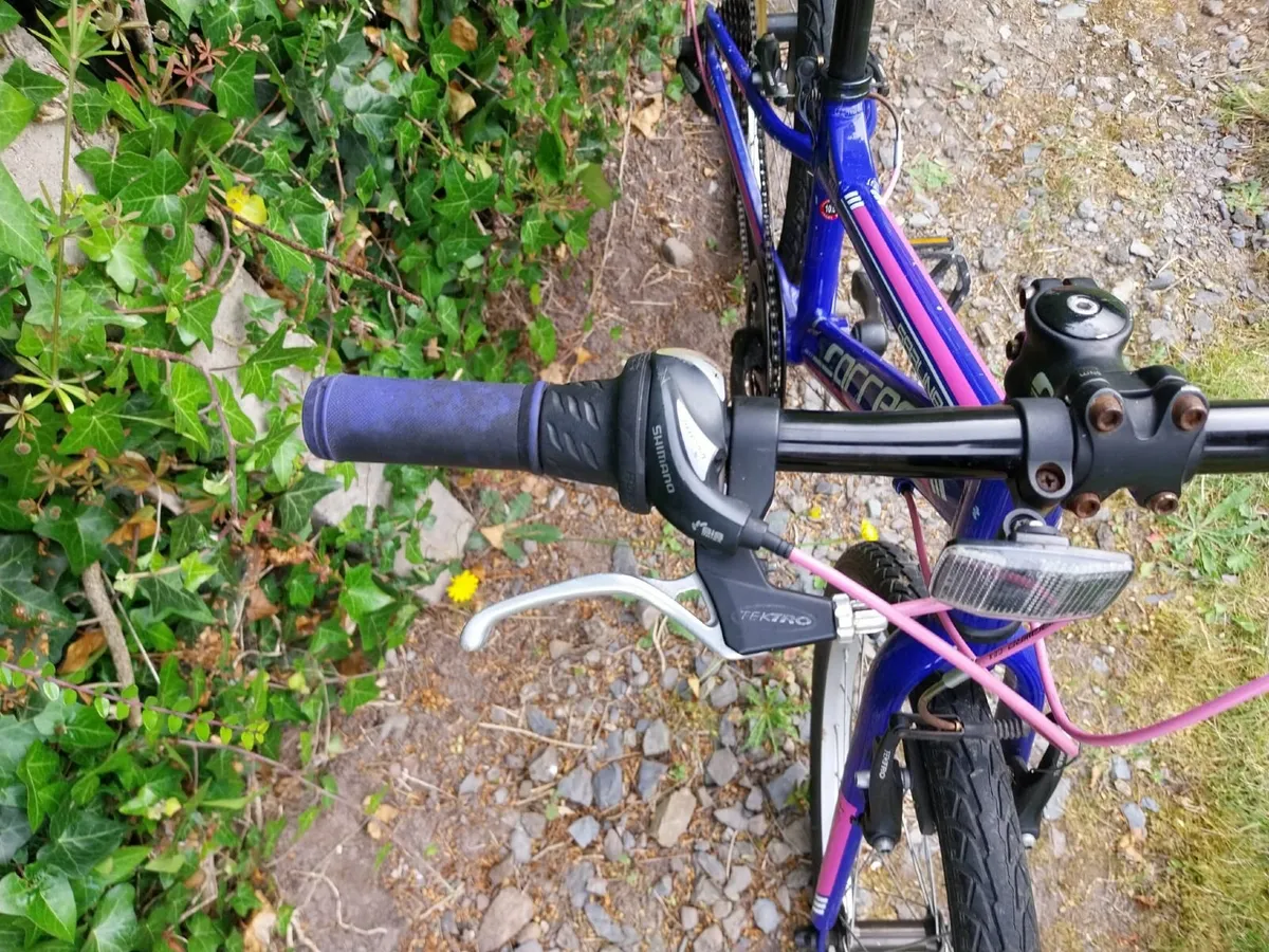 Carrera Kids Bike - 24" - Image 3