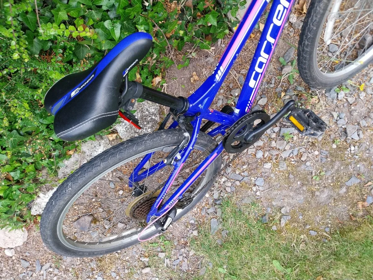 Carrera Kids Bike - 24" - Image 4