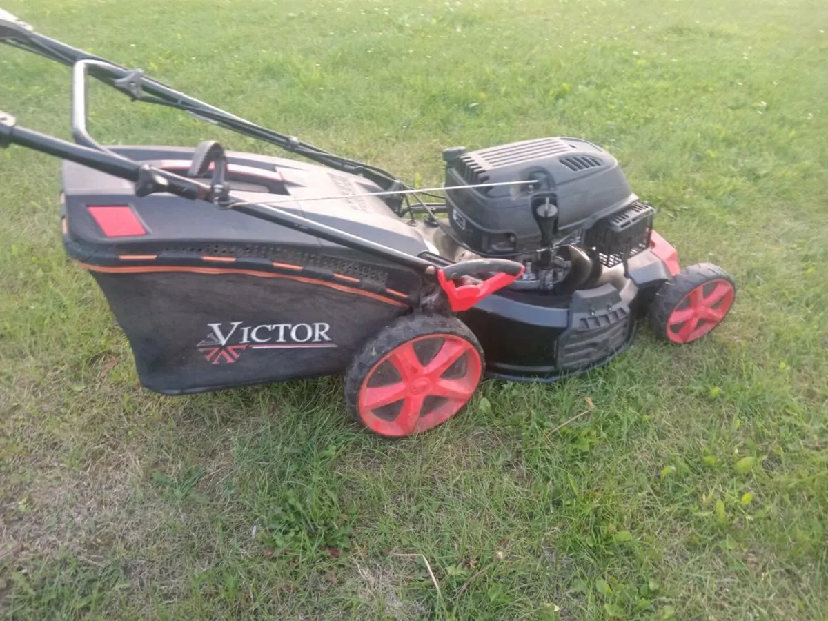 Lawnmowers - Image 4