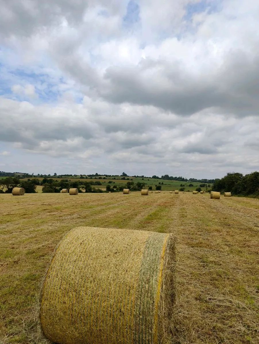 Cracking hay - Image 1