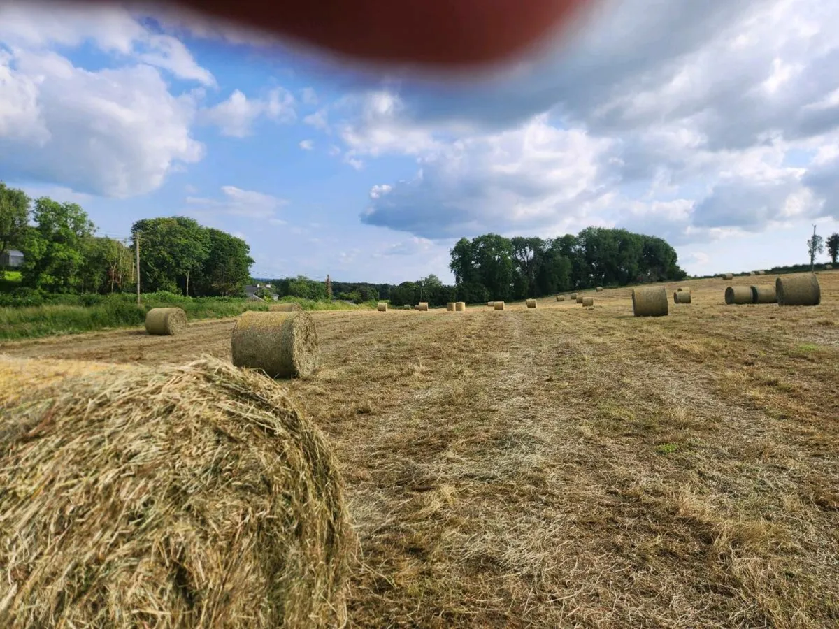 Round bales - Image 2