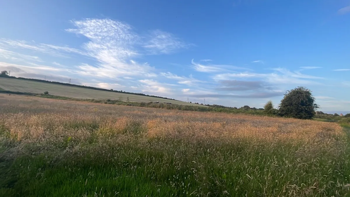 Organic top quality Topsoil - no fertiliser