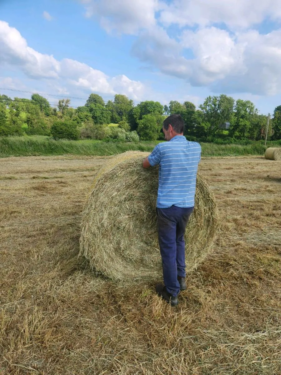 Round bales - Image 3