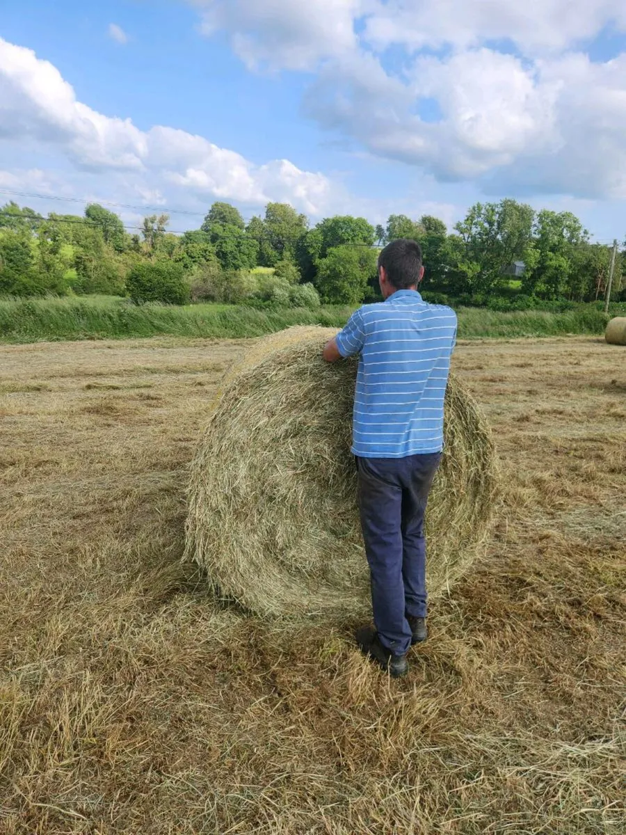 Round bales - Image 4