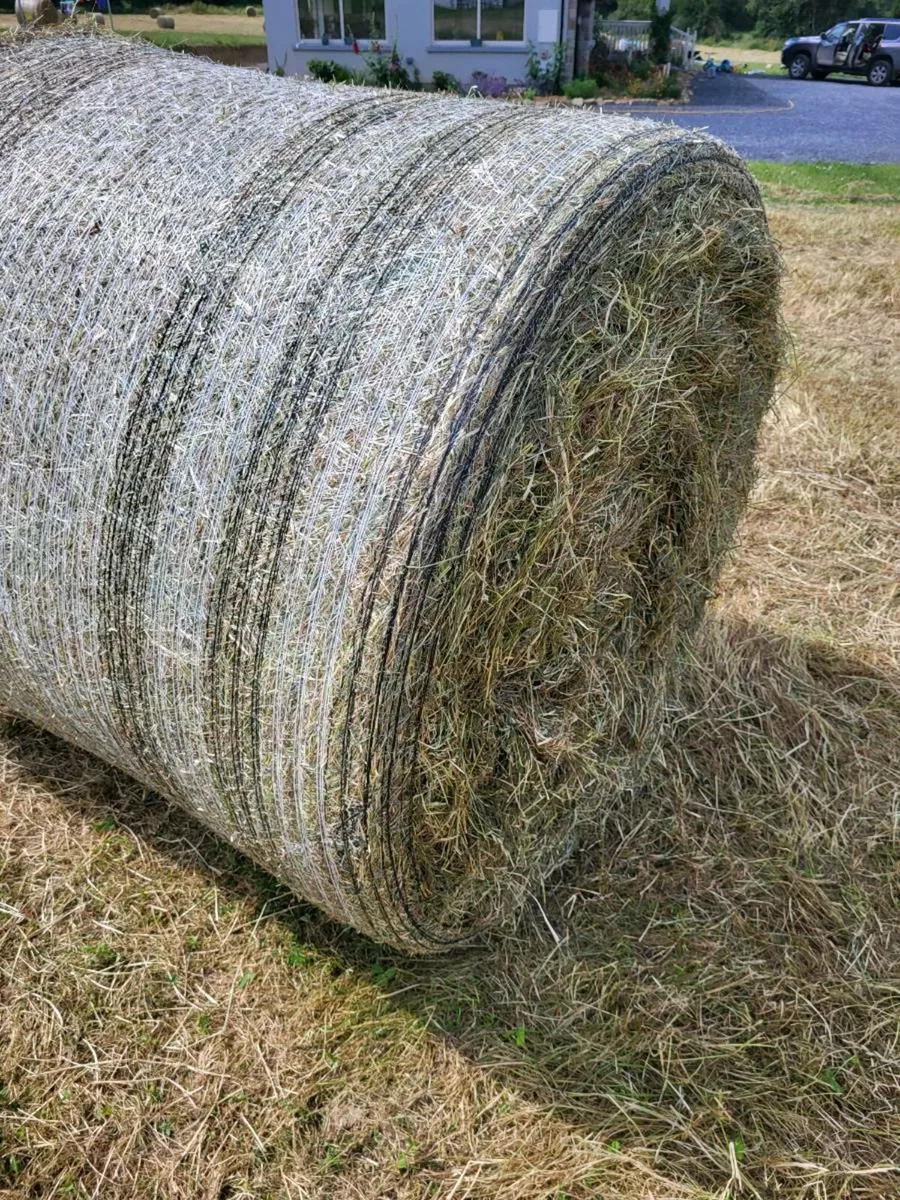 Hay for sale - Image 1
