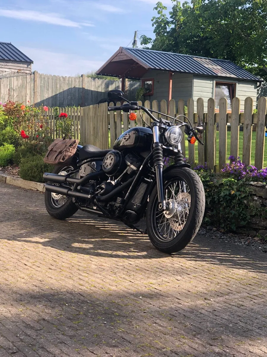 Harley street bob - Image 1