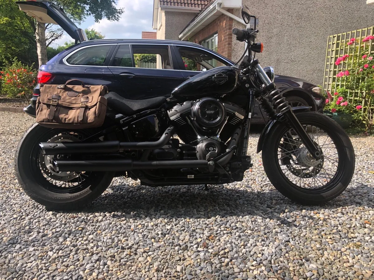 Harley street bob - Image 2