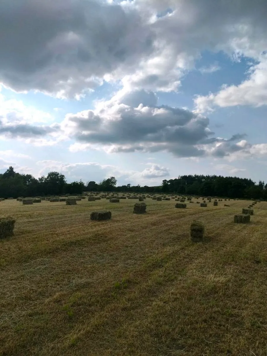 Small Square bales - Image 1