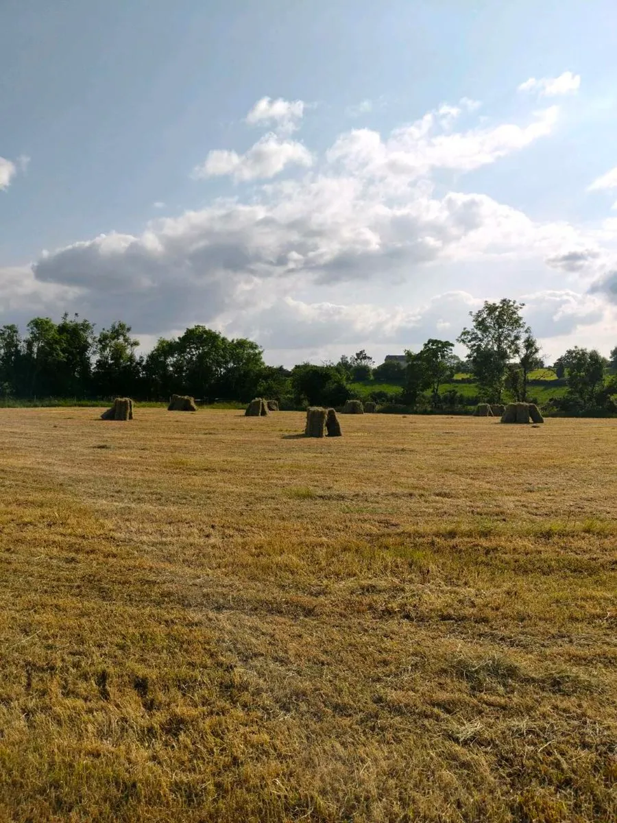 Small Square bales - Image 2