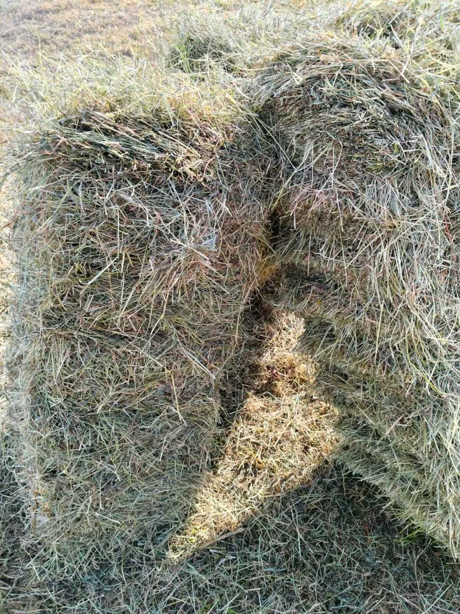 Small Square bales - Image 3