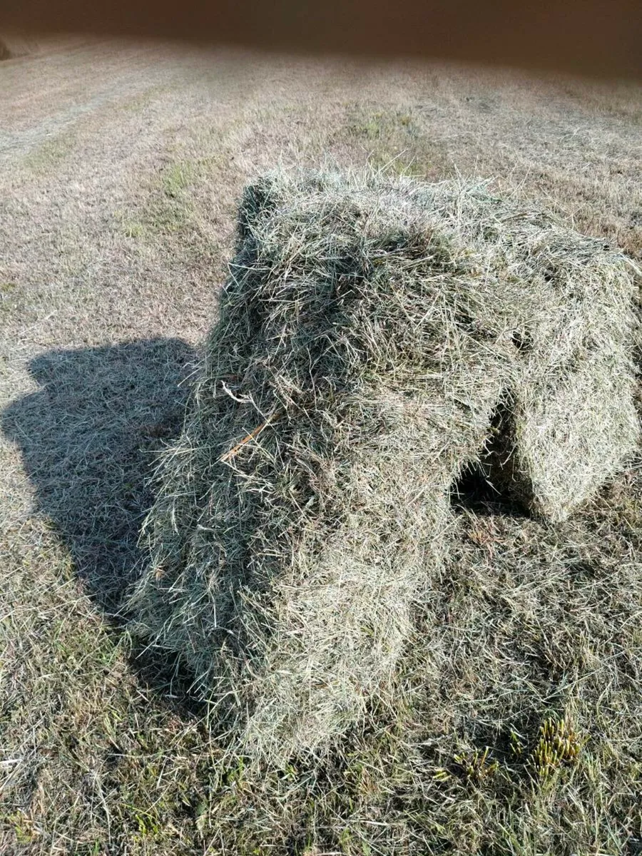 Small Square bales - Image 4