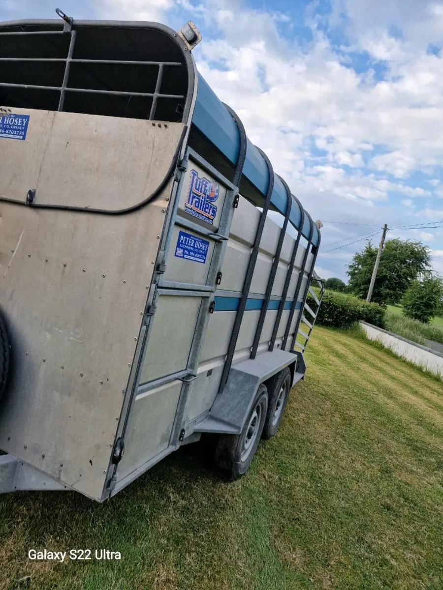 Tuff mac 12 x 6' 6" Cattle Trailer - Image 1