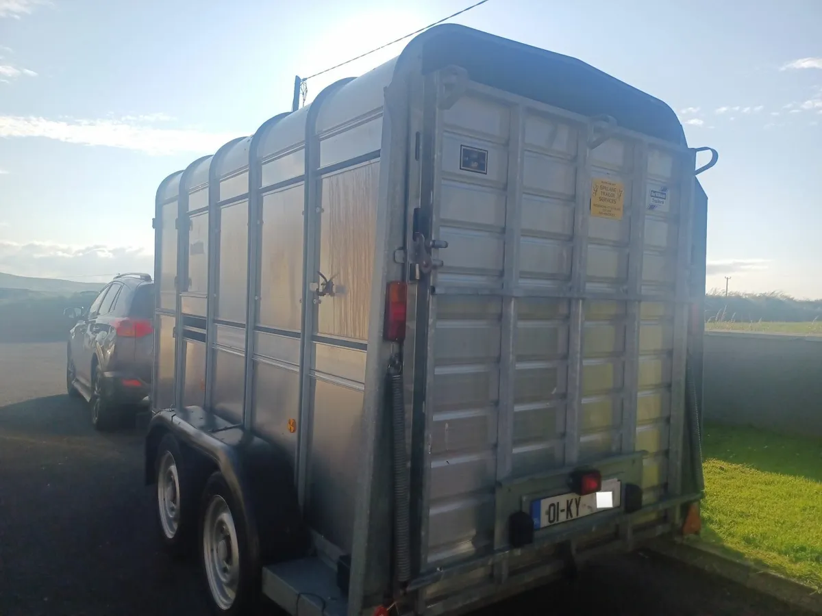 Ifor Williams 10 x 6 Cattle Trailer For Sale - Image 2