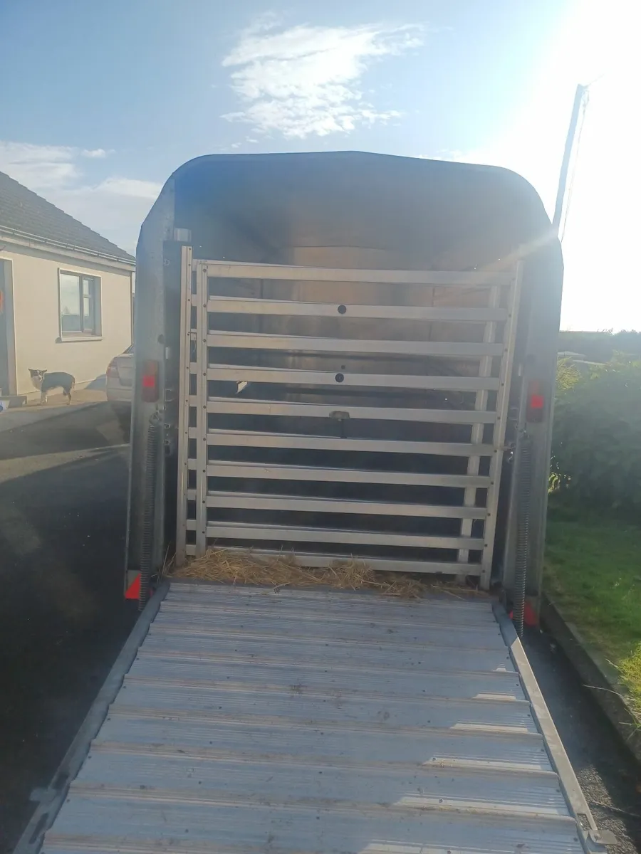 Ifor Williams 10 x 6 Cattle Trailer For Sale - Image 4