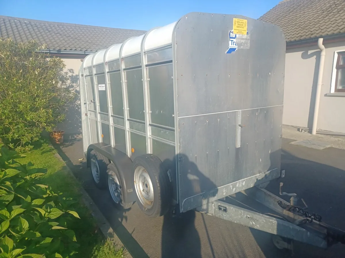 Ifor Williams 10 x 6 Cattle Trailer For Sale - Image 1