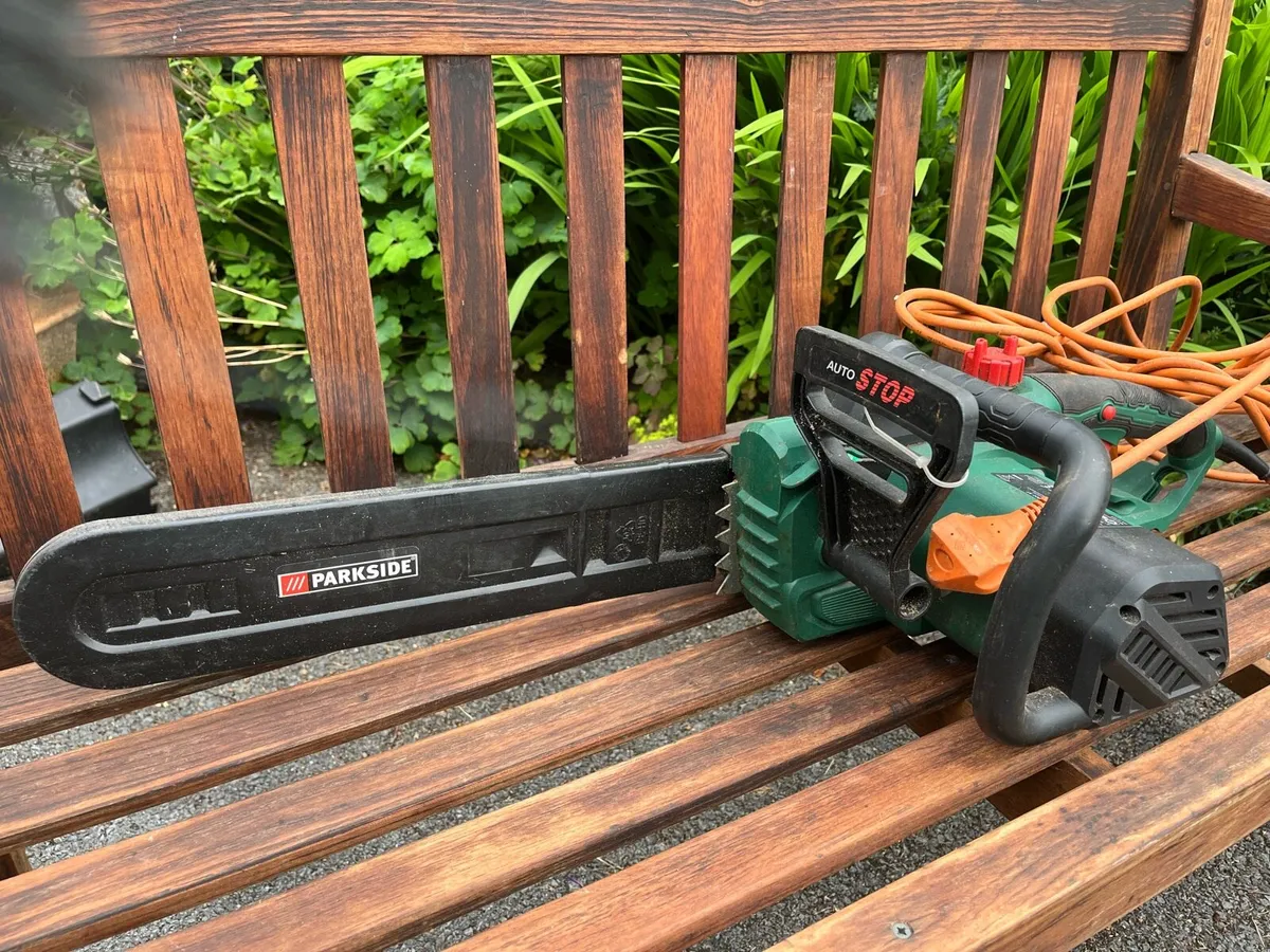 Electric chainsaw