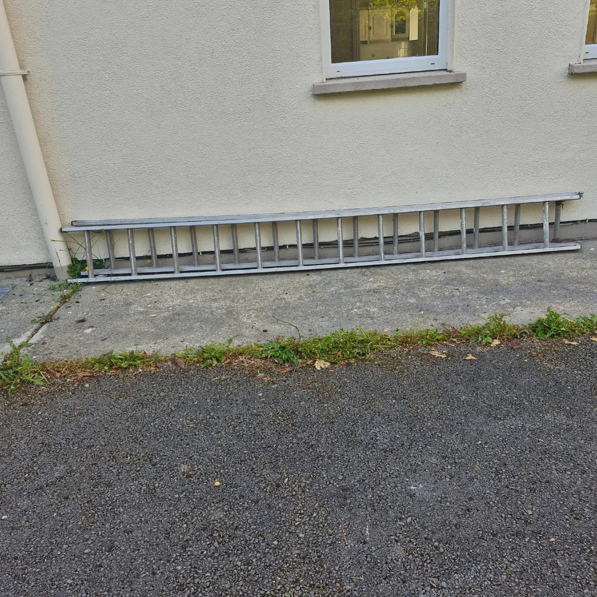 extension ladders