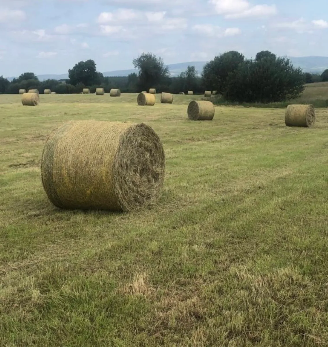 Organic Hay