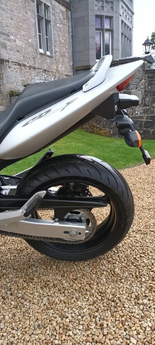 Honda Hornet - Image 2
