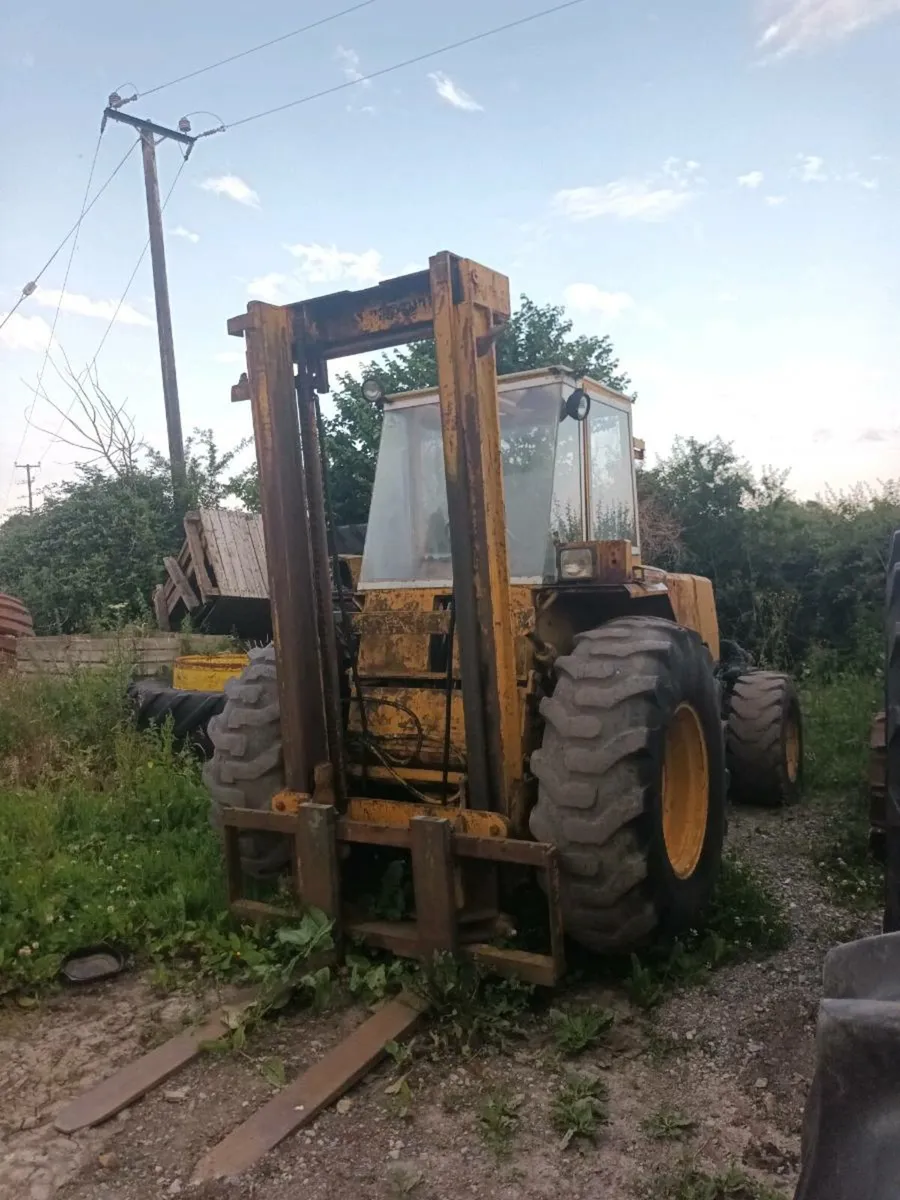 Sanderson forklift - Image 2
