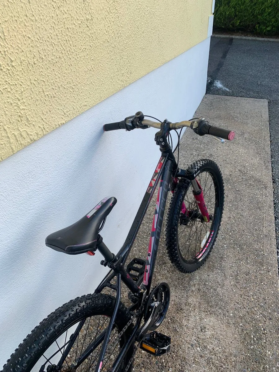 Carrera mountain bike - Image 3