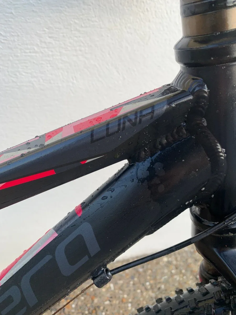 Carrera mountain bike - Image 4