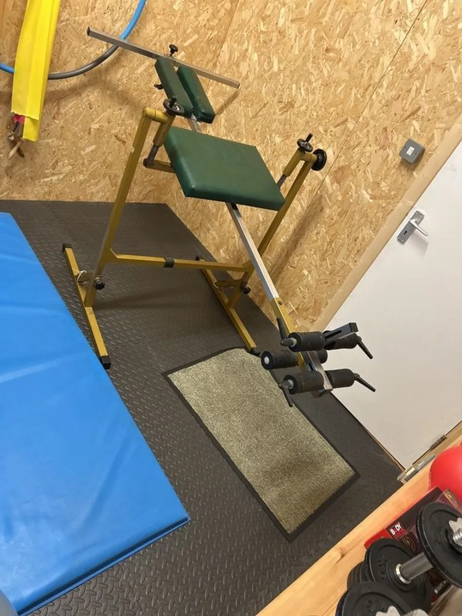 Swing traction apparatus - Image 1