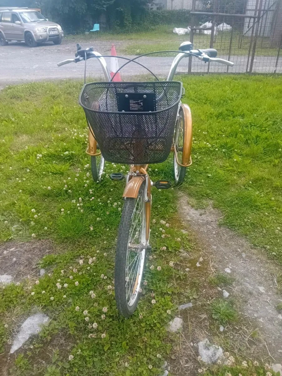 Tricycles - Image 2