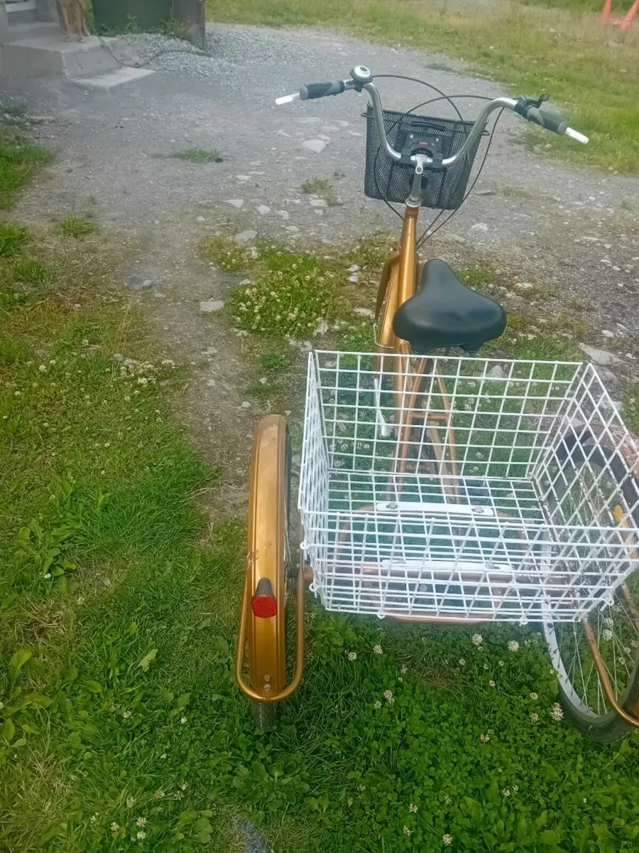Tricycles - Image 3