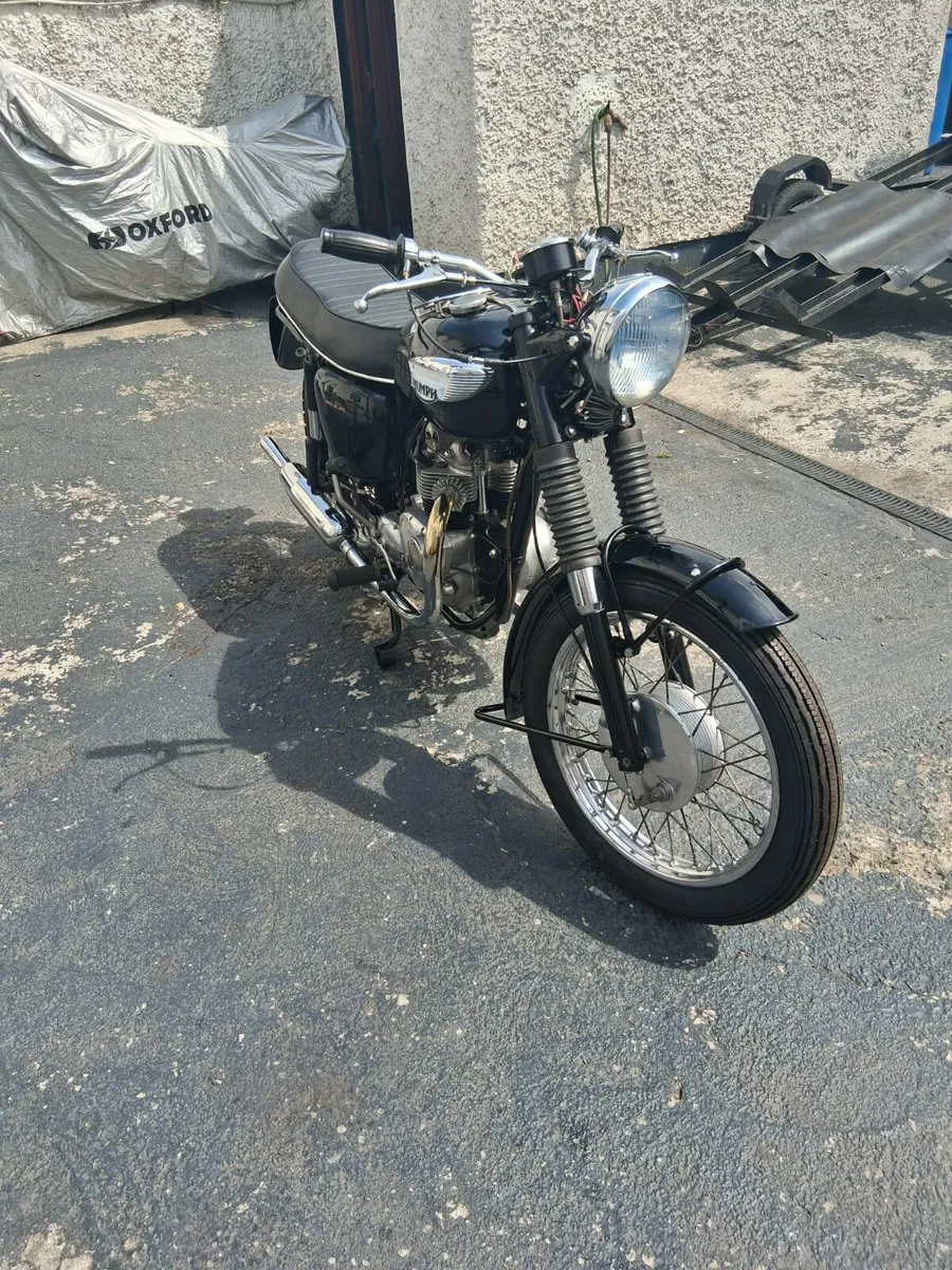 1968 triumph tiger 90 350cc - Image 2
