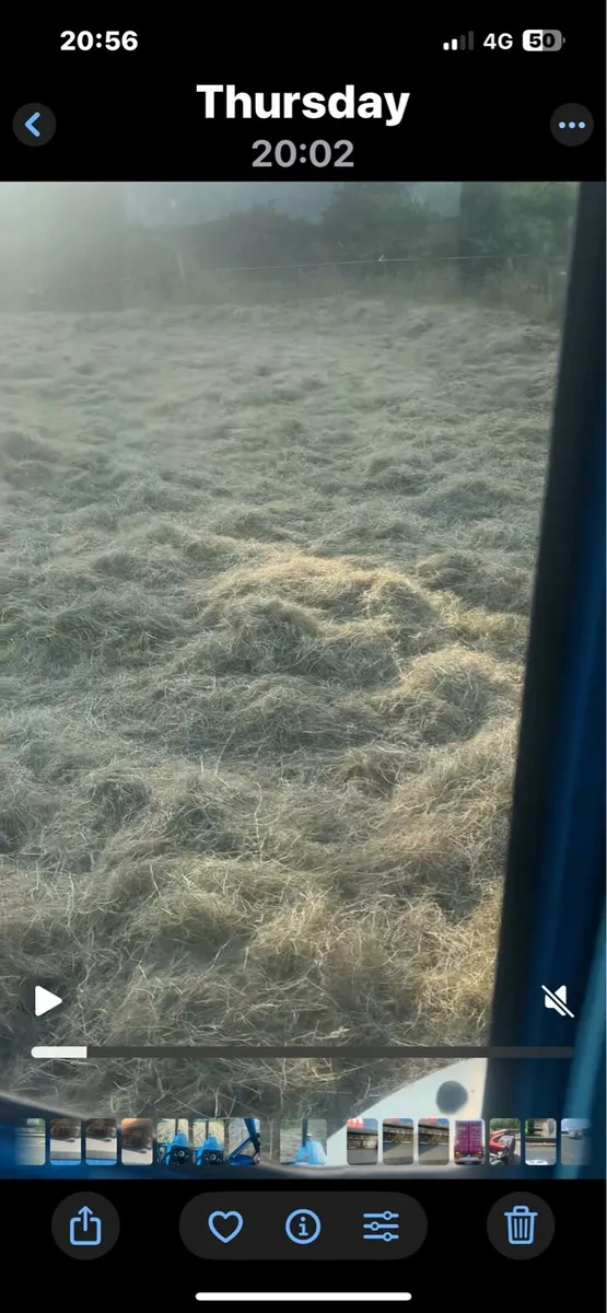 Haylage - Image 1