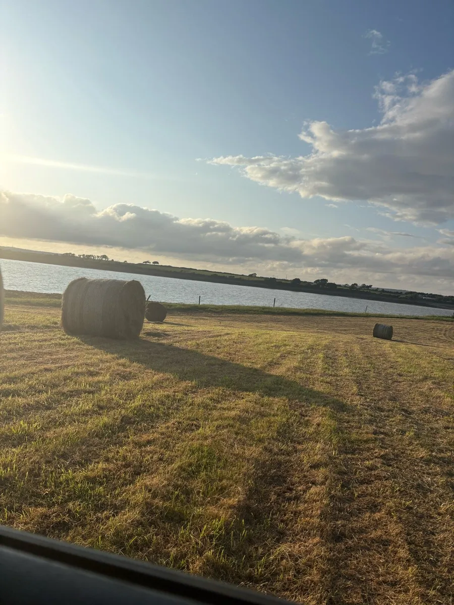 Hay - Image 3
