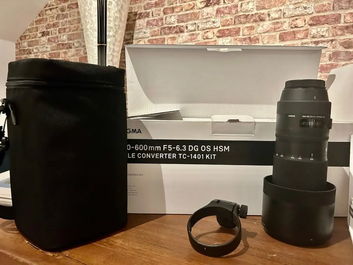 Sigma 150-600mm f/5-6.3 DG OS HSM Contemporary & Accessories - Image 3