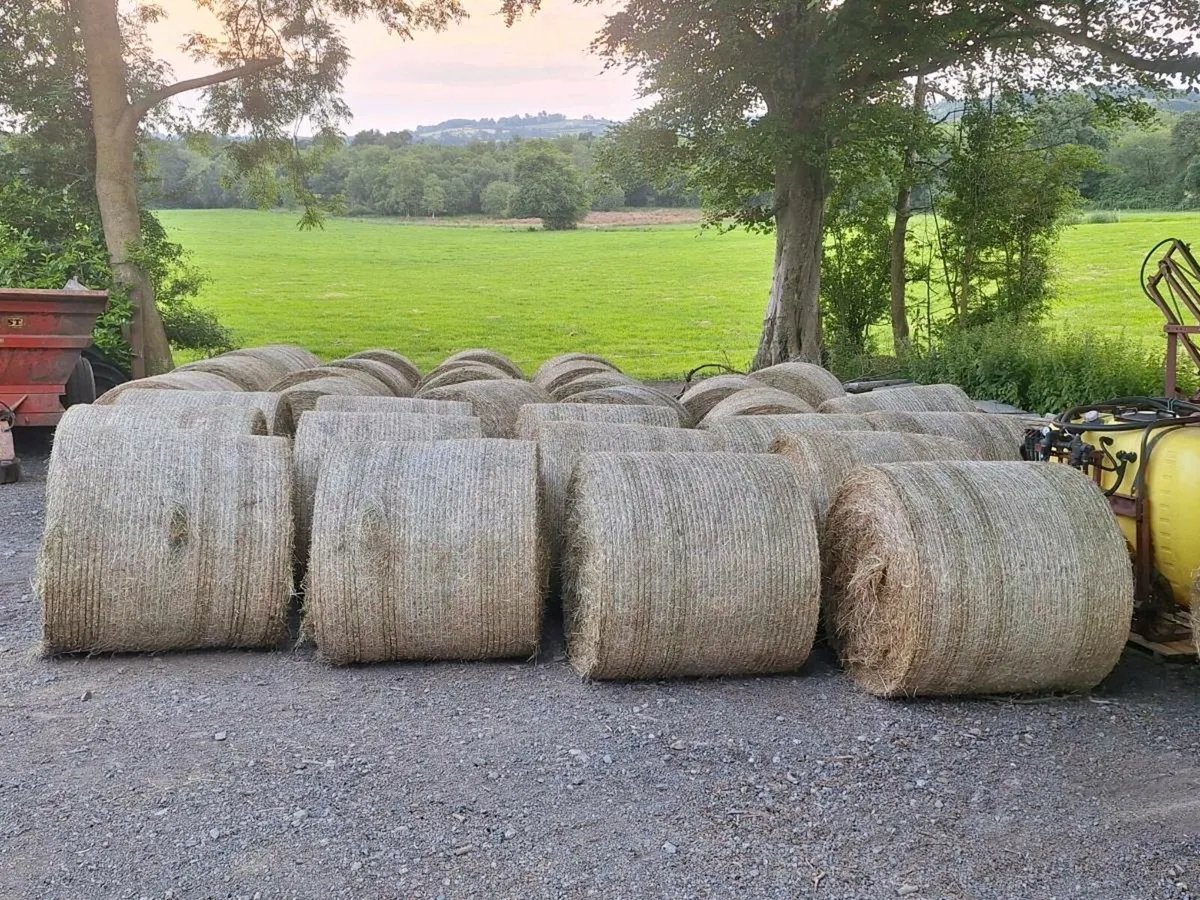 Hay Round Bales - Image 1