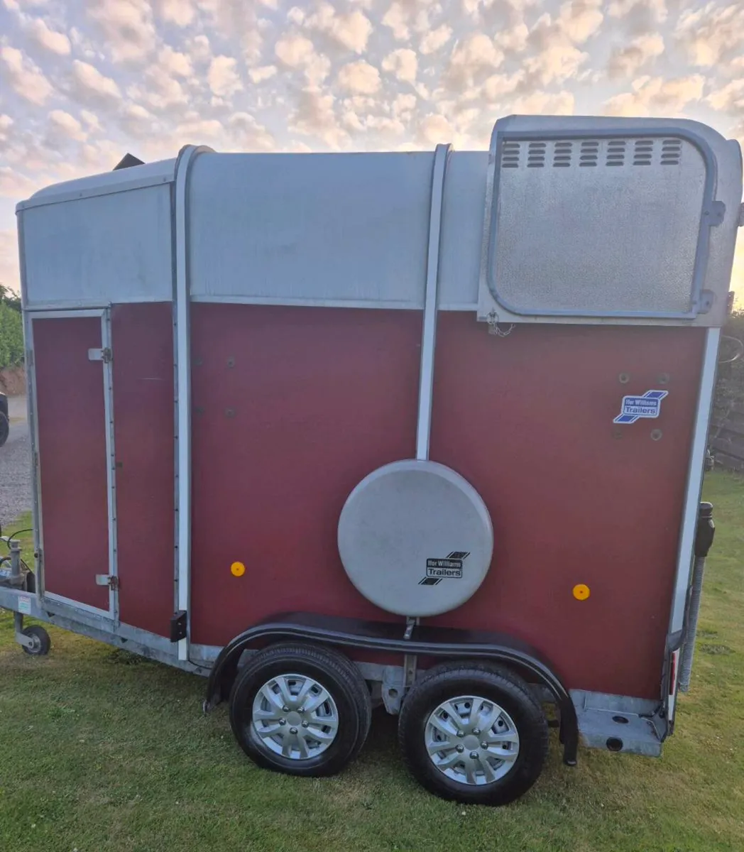 Ifor williams  505 HB - Image 4