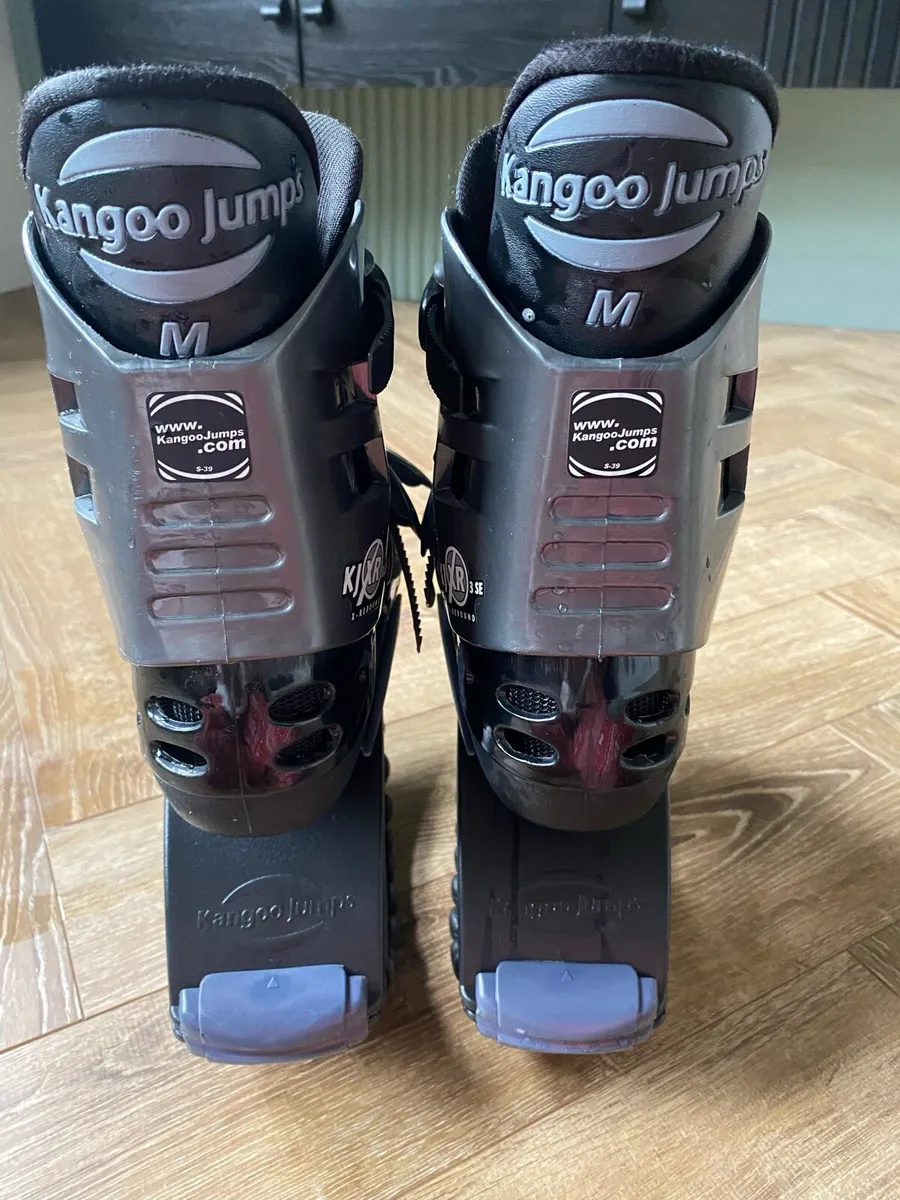 Kangoo boots - Image 2