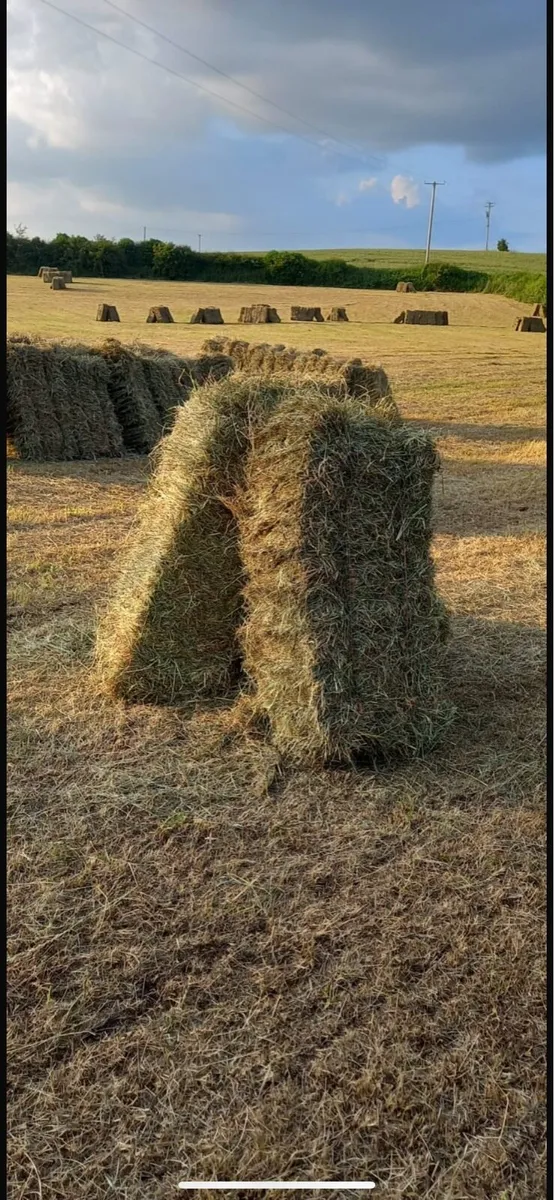 Small Square Bales of Hay